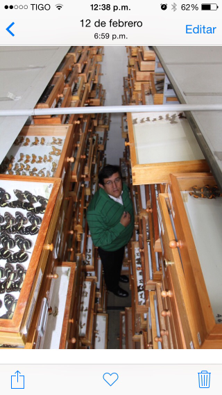 Andrade checks out the butterfly collection at Universidad Nacional. More than 3,200 butterfly species live in Colombia.Gonzalo Andrade
